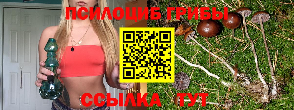 Галлюциногенные грибы Cubensis  Вход с VPN  Ирбит  купить  цена  Галлюциногенные грибы GOLDEN TEACHER 
